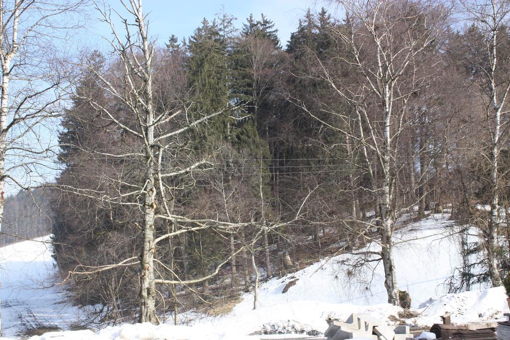 Ferienwohnungen Neukirchen Neukirchen am Teisenberg エクステリア 写真