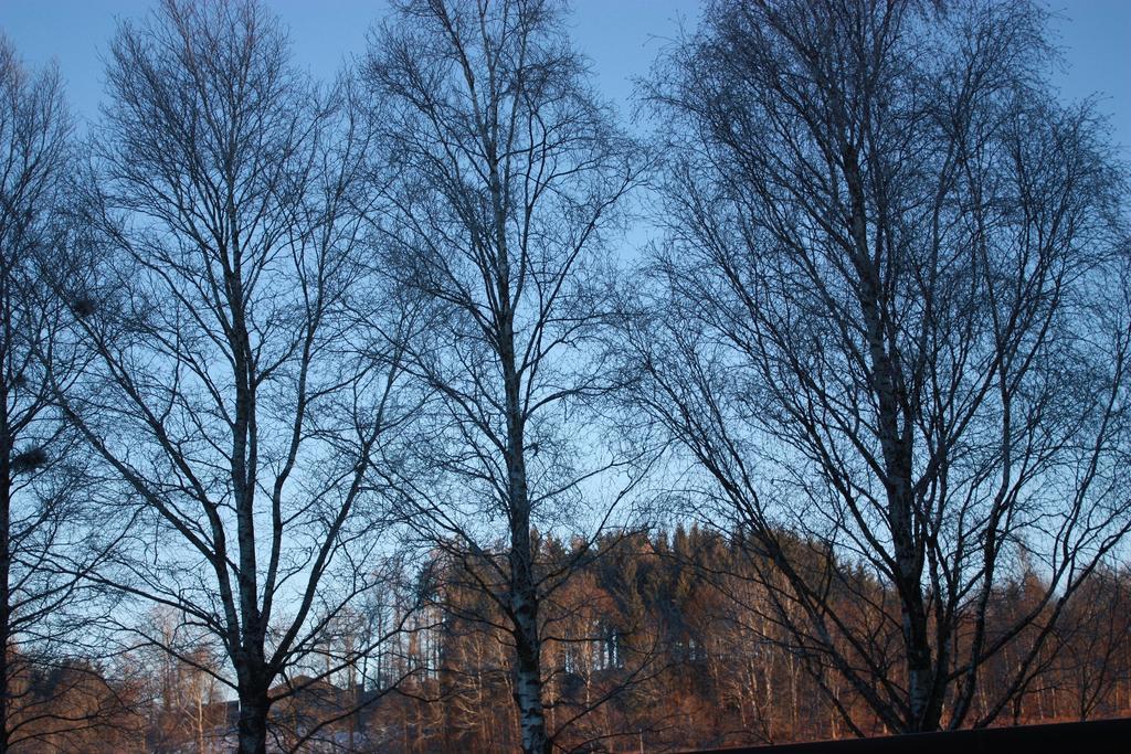 Ferienwohnungen Neukirchen Neukirchen am Teisenberg エクステリア 写真